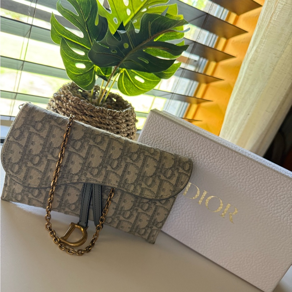 Dior Monogram Clutch with Gold Chain
